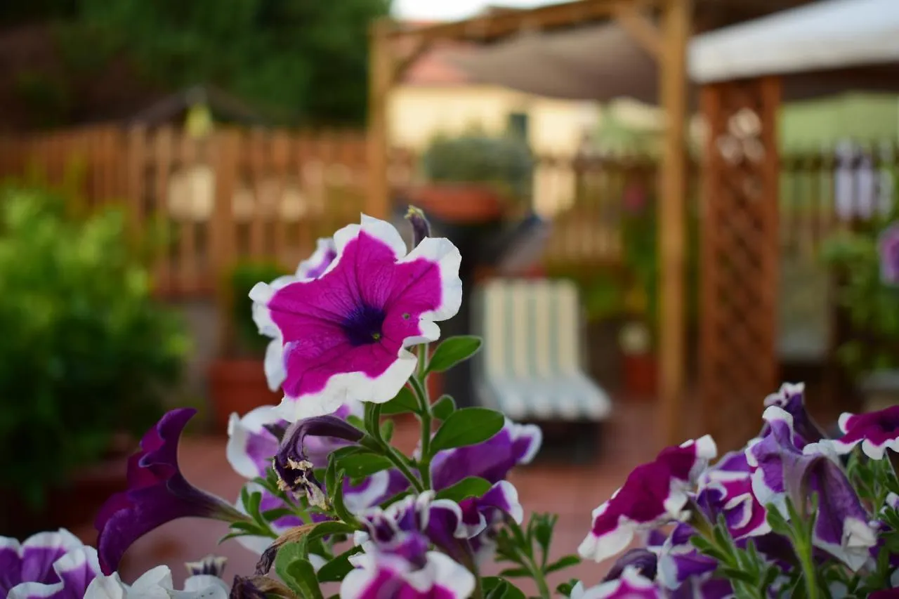 Domus Socolatae Apartments&Suites Follonica