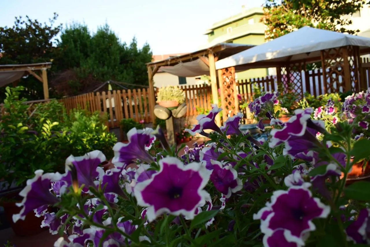 Domus Socolatae Apartments&Suites