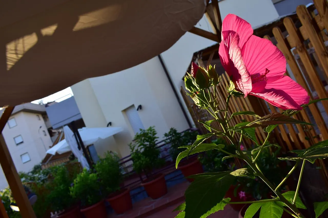 Domus Socolatae Apartments&Suites Italy